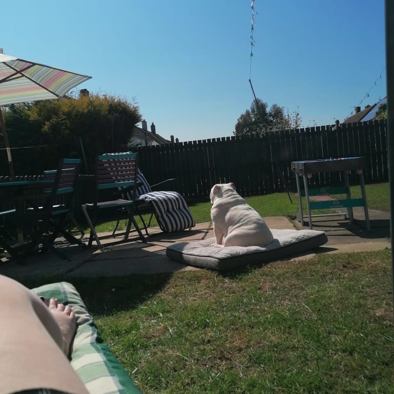 Enjoying it out in the sun