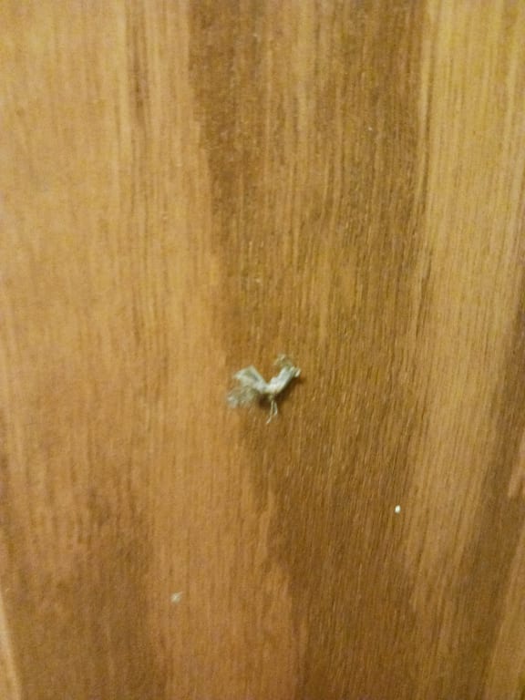 user uploaded review image1 , graphic