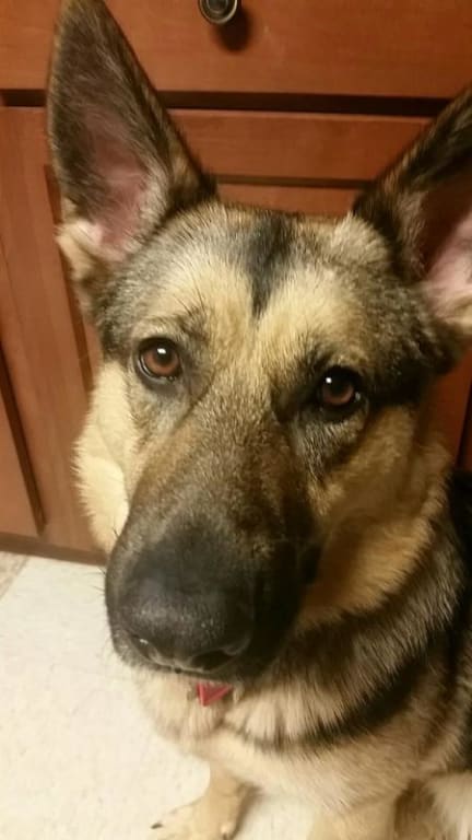 user uploaded review image2 , graphic