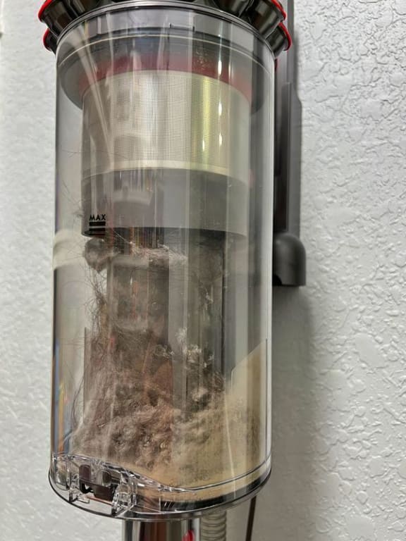 Dyson Gen5Detect Outsize Bed Bath & Beyond 38004531