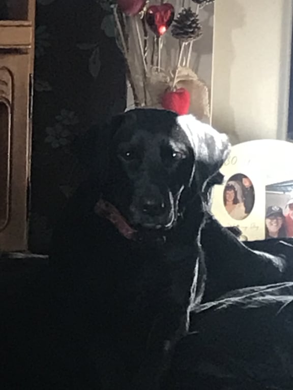 Comfortable little lady