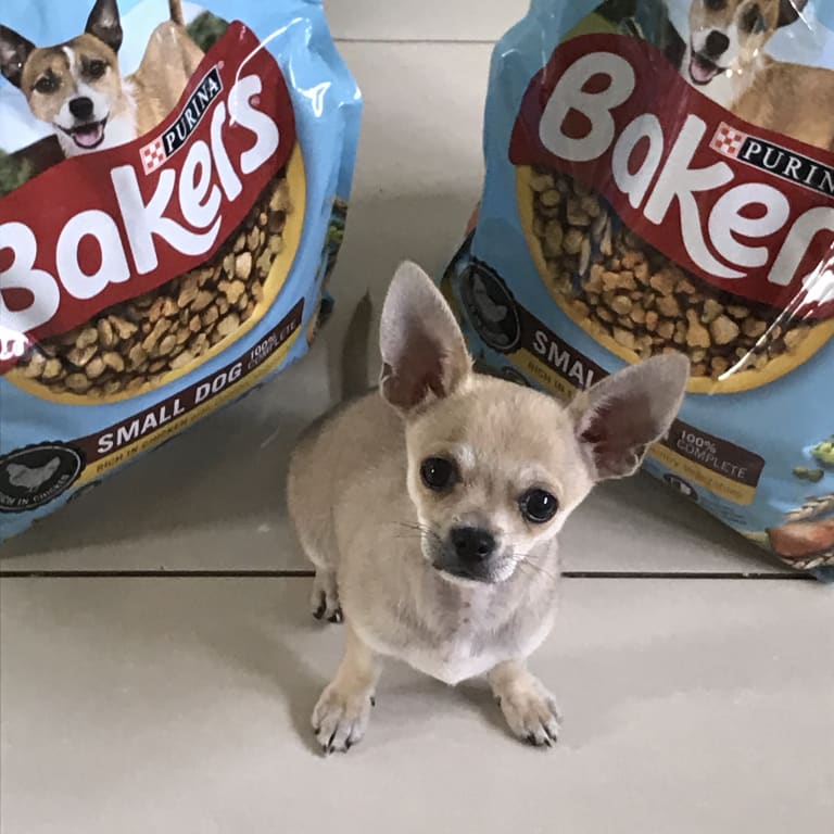 Small Dog Bakers Dog Food 14kg Asda Superfoods Amazon Bakers Dog