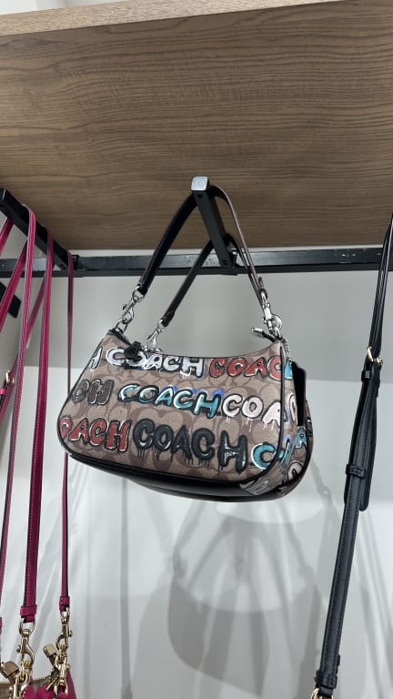 Which Coach Teri Shoulder bag should I get?🥹😅 : r/Coach