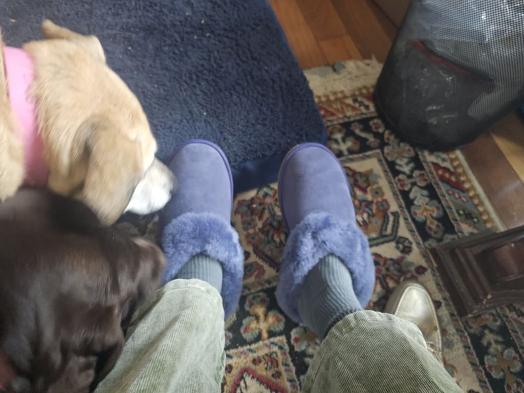 Customer Image Captioned: Everyone loves these slippers