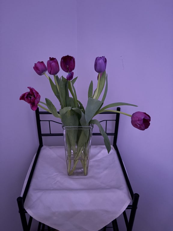 user uploaded review image1 , graphic