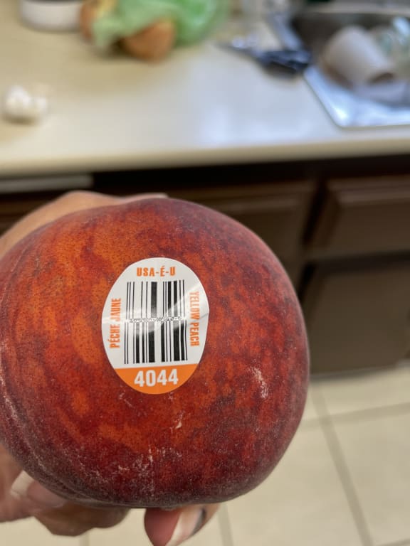 user uploaded review image3 , graphic