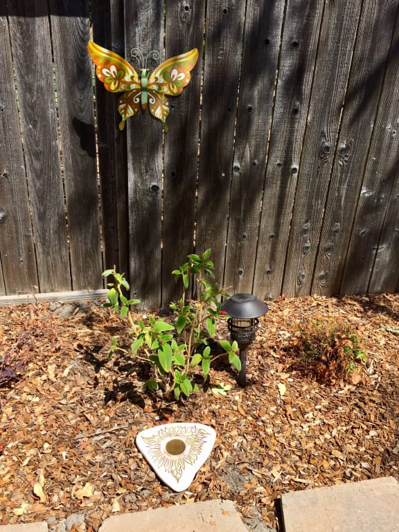 Sunflower Butterfly Puddler from Uncommon Goods. Customer submitted image.
