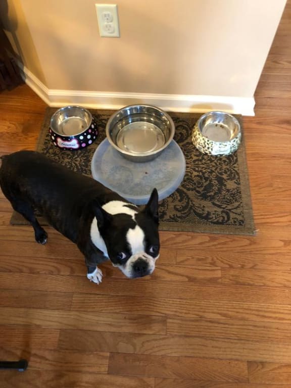 user uploaded review image3 , graphic