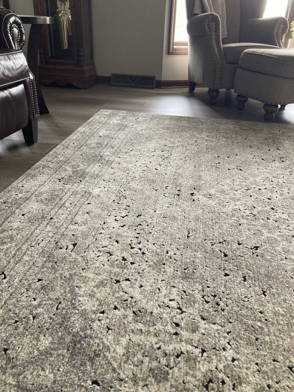 (B500) Xander Ivory & Tan Area Rug, 8x10