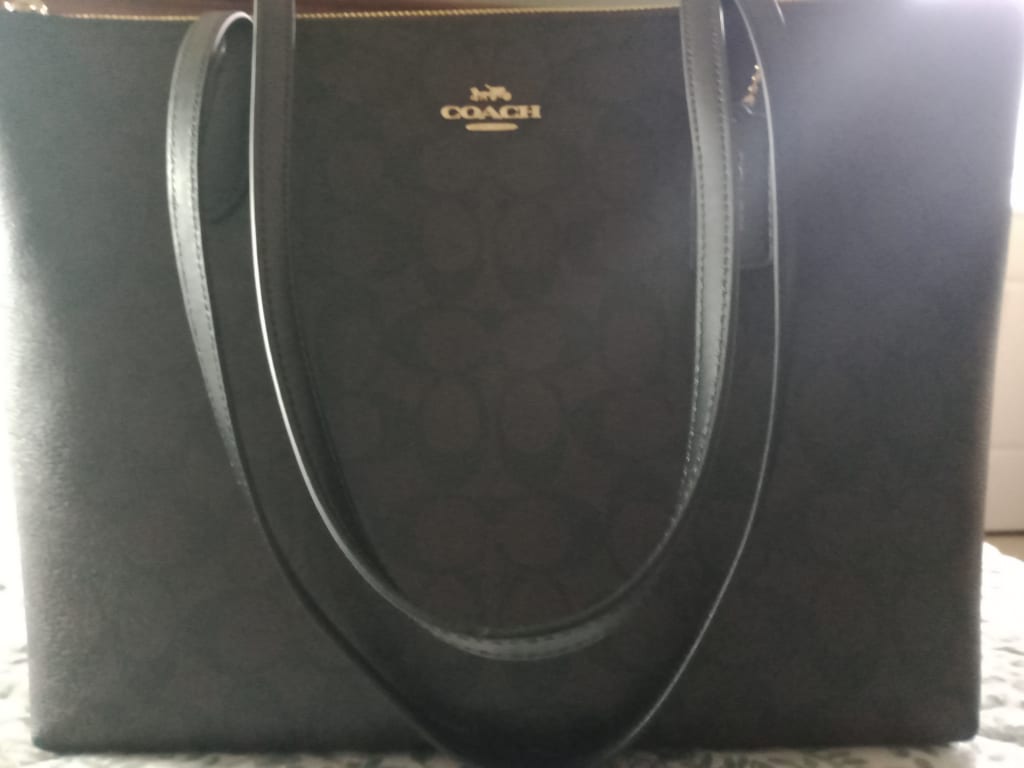 COACH® Outlet  Zip Top Tote In Signature Canvas