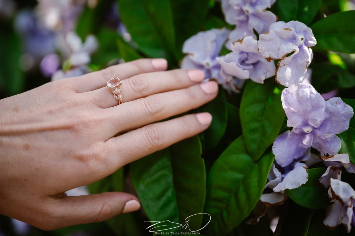 Luxe Winding Vine Engagement Ring, Secret Garden