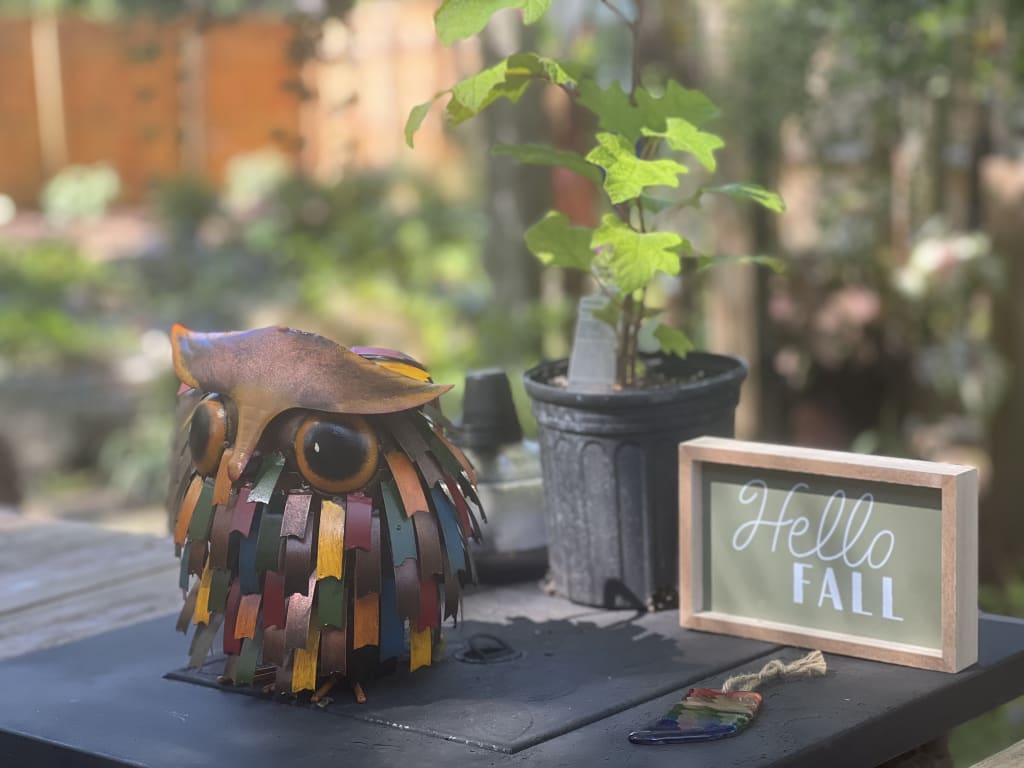 Owl Watering Can from Uncommon Goods. Customer submitted image.