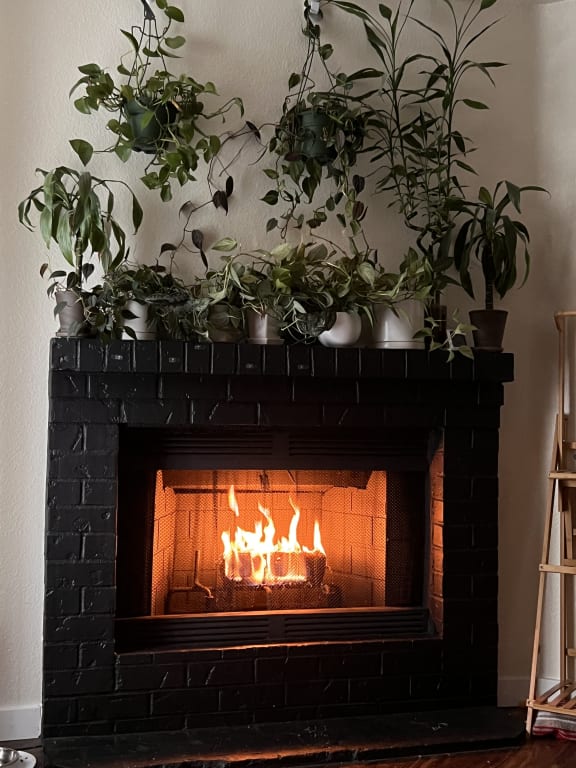 user uploaded review image1 , graphic