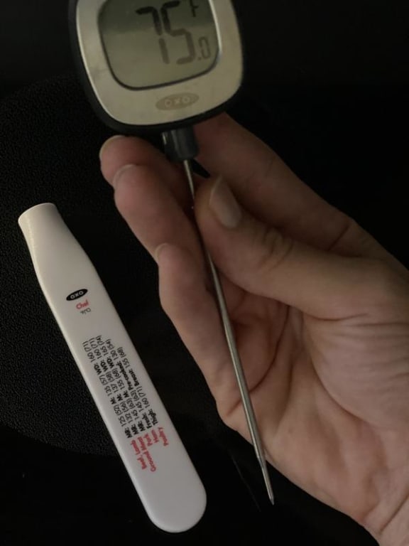 OXO Softworks Digital Instant Thermometer At Home