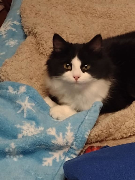 user uploaded review image3 , graphic