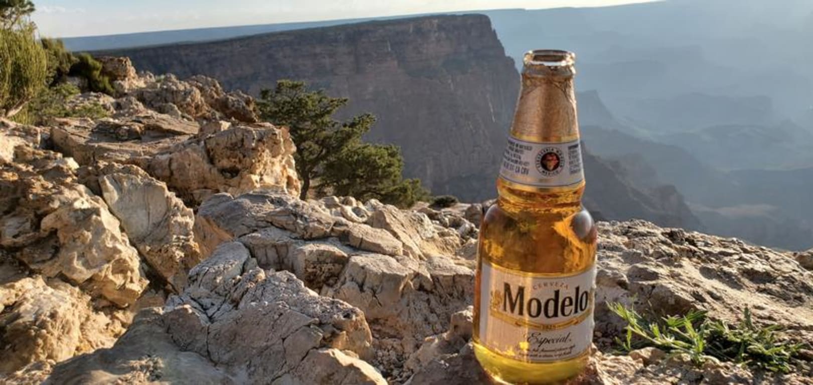 user uploaded review image1 , graphic