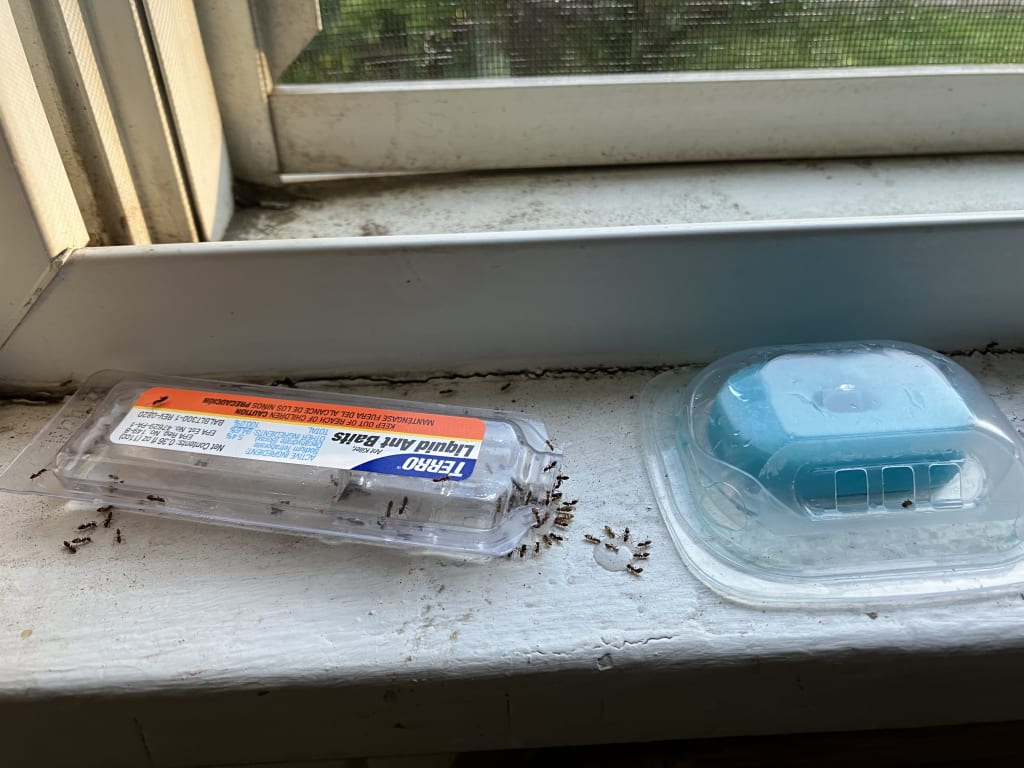 user uploaded review image4 , graphic