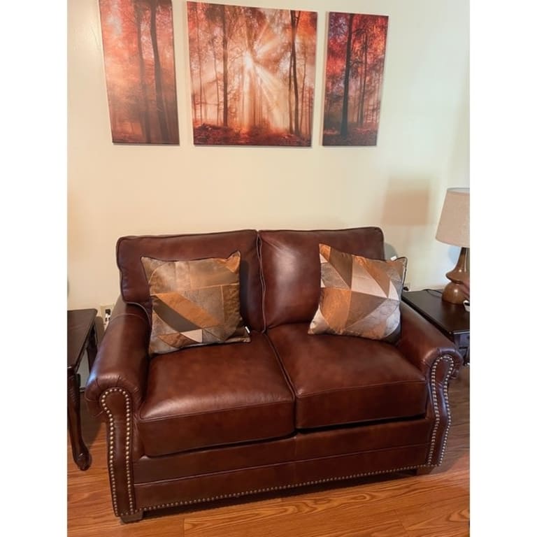 Made in USA Revo Top Grain Leather Sofa Bed, Loveseat and Chair Set