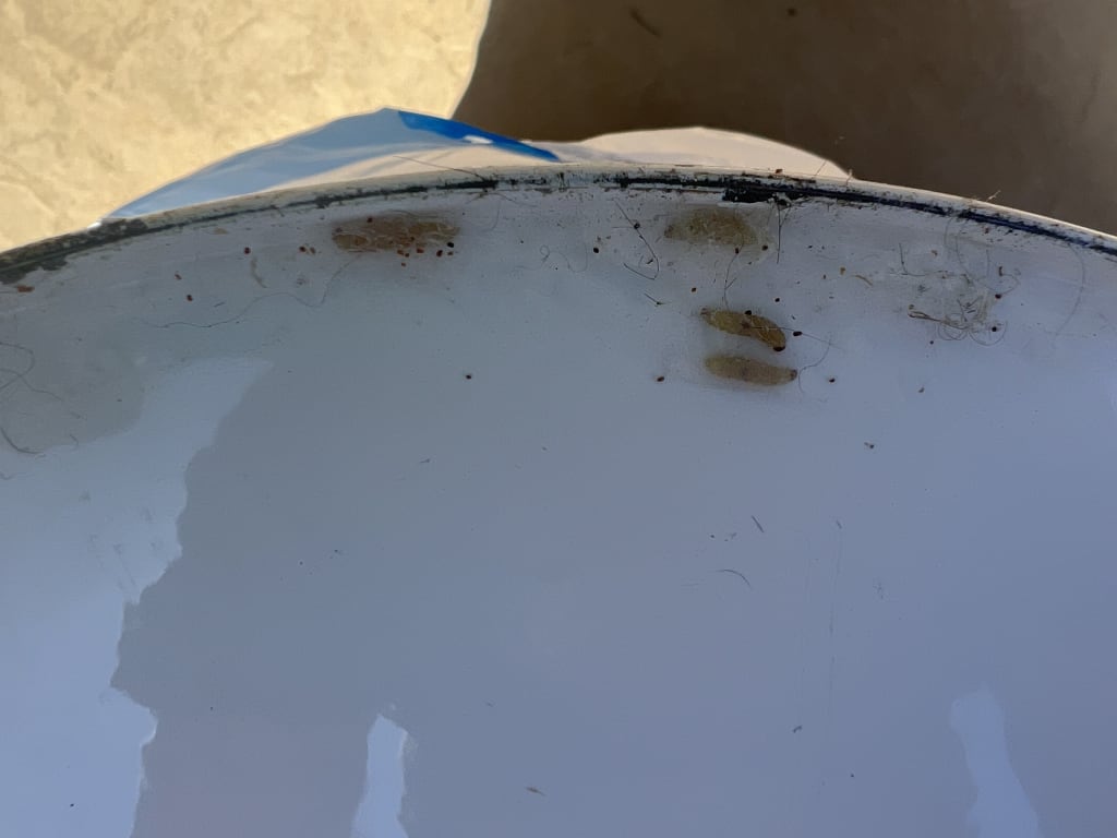 user uploaded review image2 , graphic