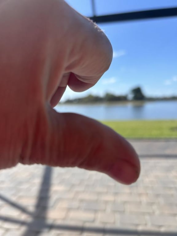 user uploaded review image1 , graphic