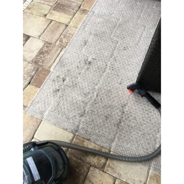 Bissell Commercial BGSS1481 "Little Green Pro" Carpet Cleaner Bed