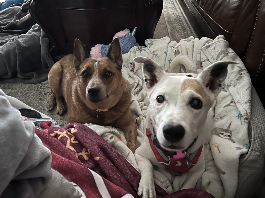 user uploaded review image1 , graphic