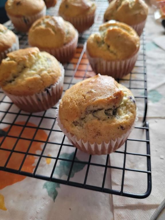 user uploaded review image1 , graphic