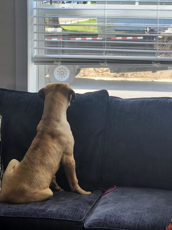 user uploaded review image2 , graphic