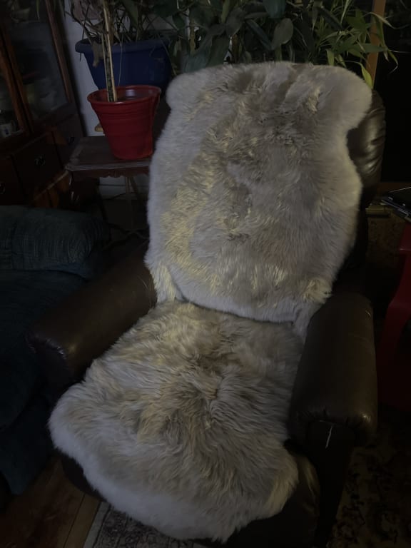 Customer Image Captioned: Softest seat