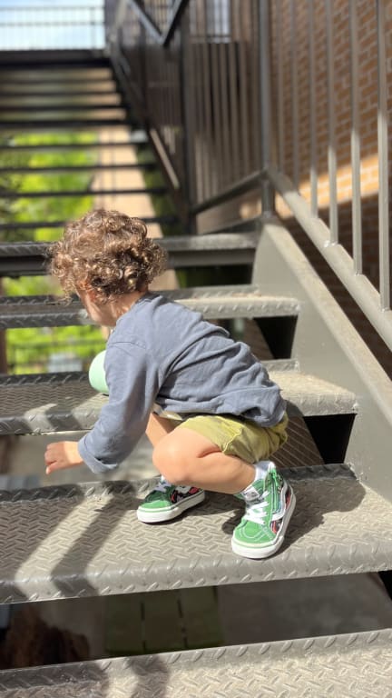 Toddler Sk8-Hi Reissue Side Zip Shark Shoe in Green / Black | Vans