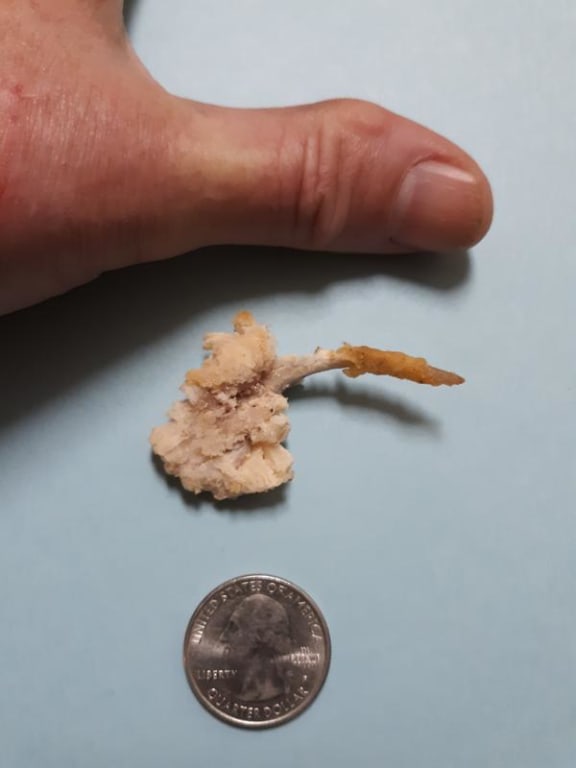 user uploaded review image2 , graphic