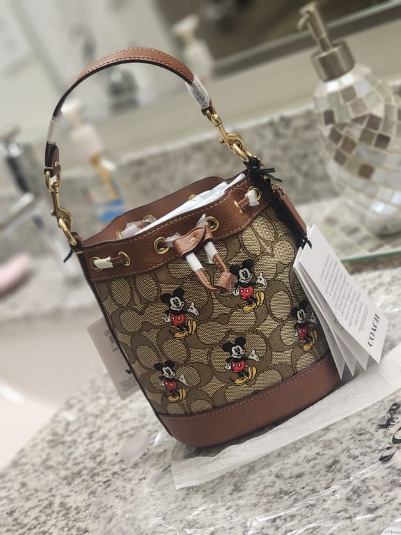 COACH® | Disney X Coach Mini Dempsey Bucket Bag In Signature 