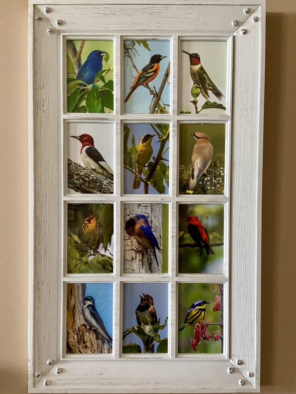 12-Opening Distressed White Window Pane Collage Picture Frame, 30x18