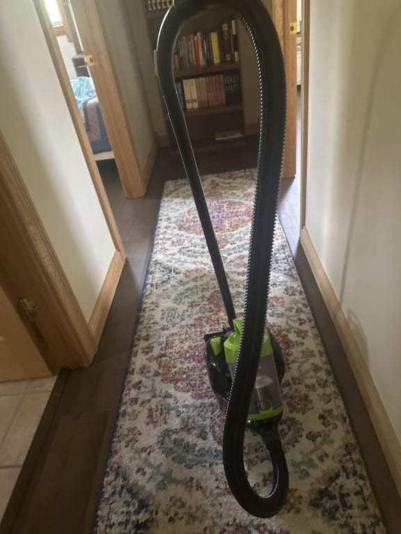 BISSELL Zing Bagless Canister Vacuum, 2156A Bed Bath & Beyond 39045007