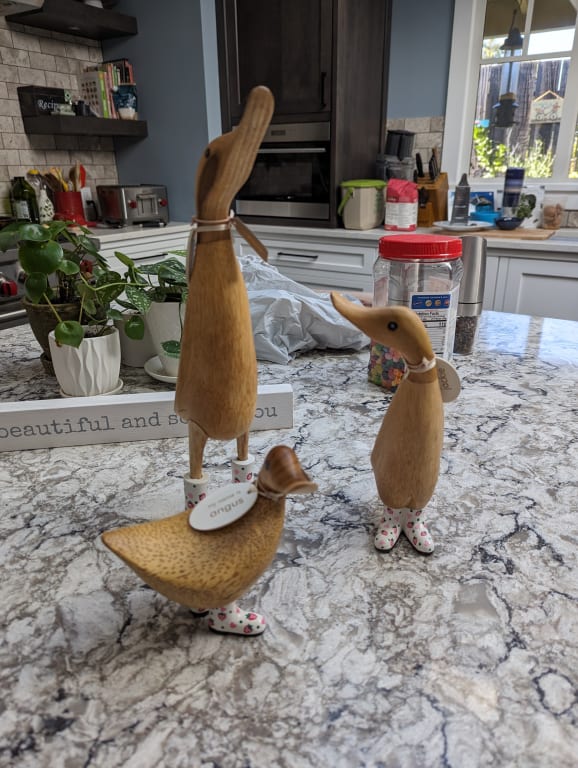 Sweet Strawberry Wellie Garden Ducks from Uncommon Goods. Customer submitted image.