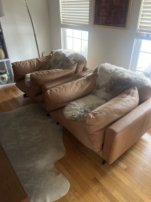 Customer Image Captioned: Perfection