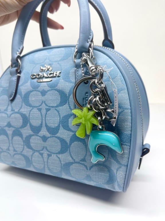 COACH®  Picture Frame Bag Charm In Signature Canvas