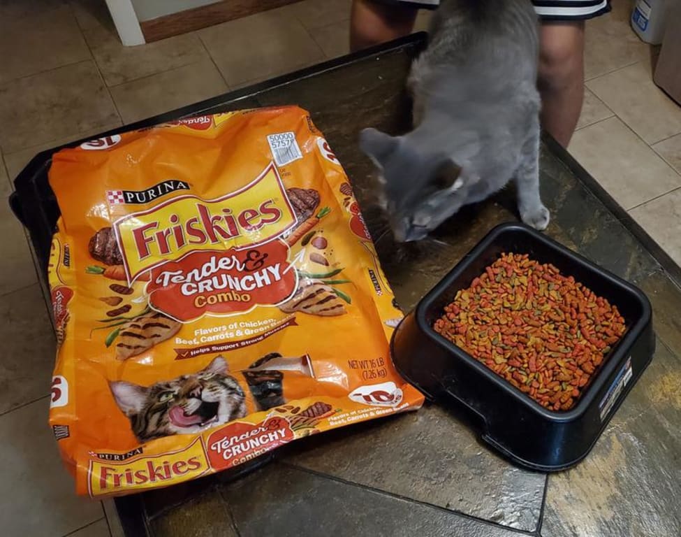 user uploaded review image4 , graphic