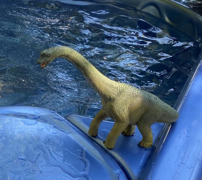Schleich Brachiosaurus 2016 Dinosaur - View #5