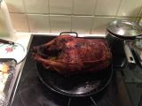 New Year's Day Goose after removing from griddle