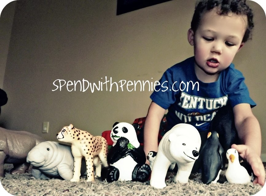 Cameron playing with his animals