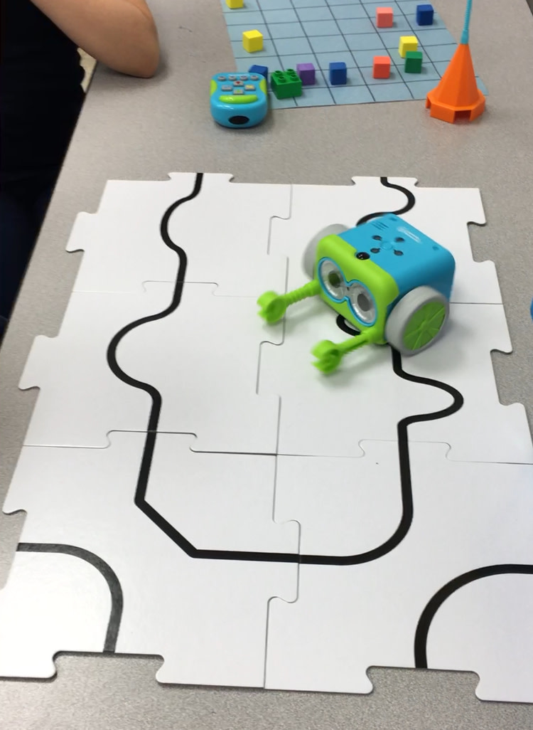 Botley following the black line