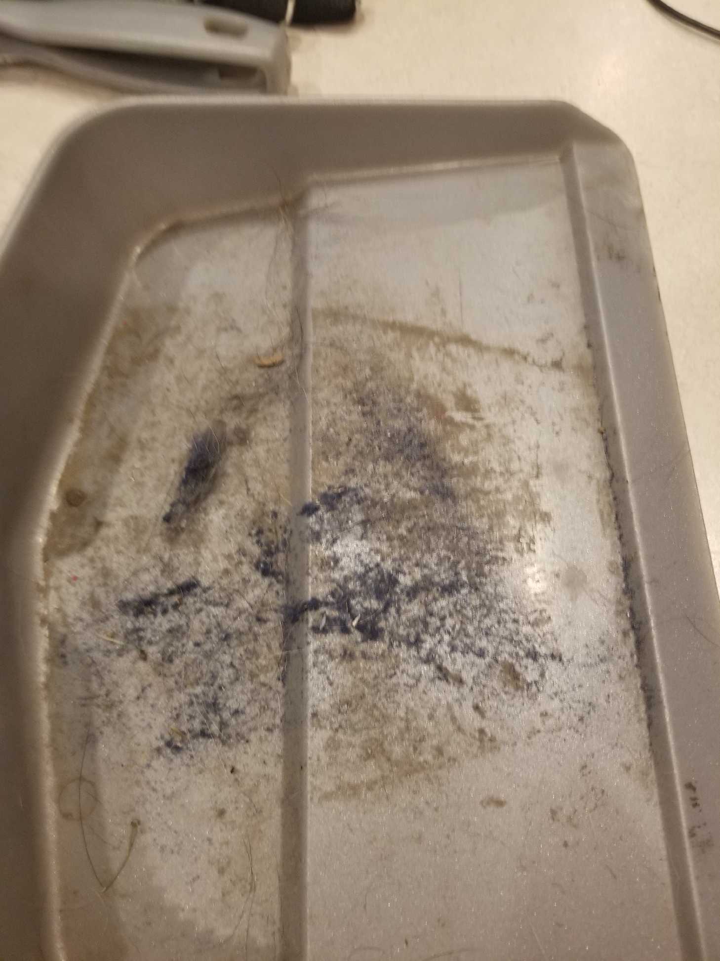 Dye dust that I swept from falling out