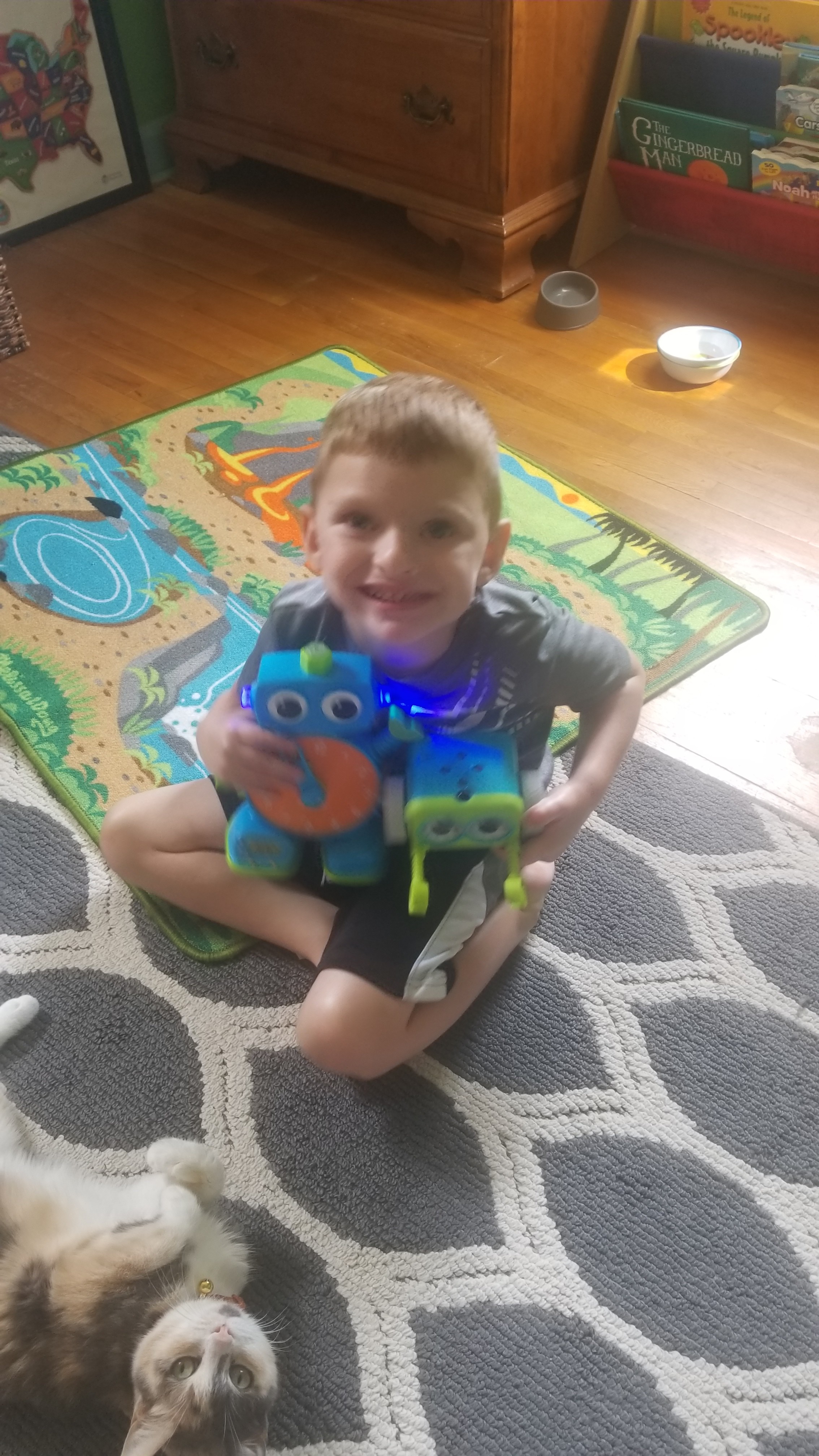 My son wanted to teach our cat how to use the clock and Botley!