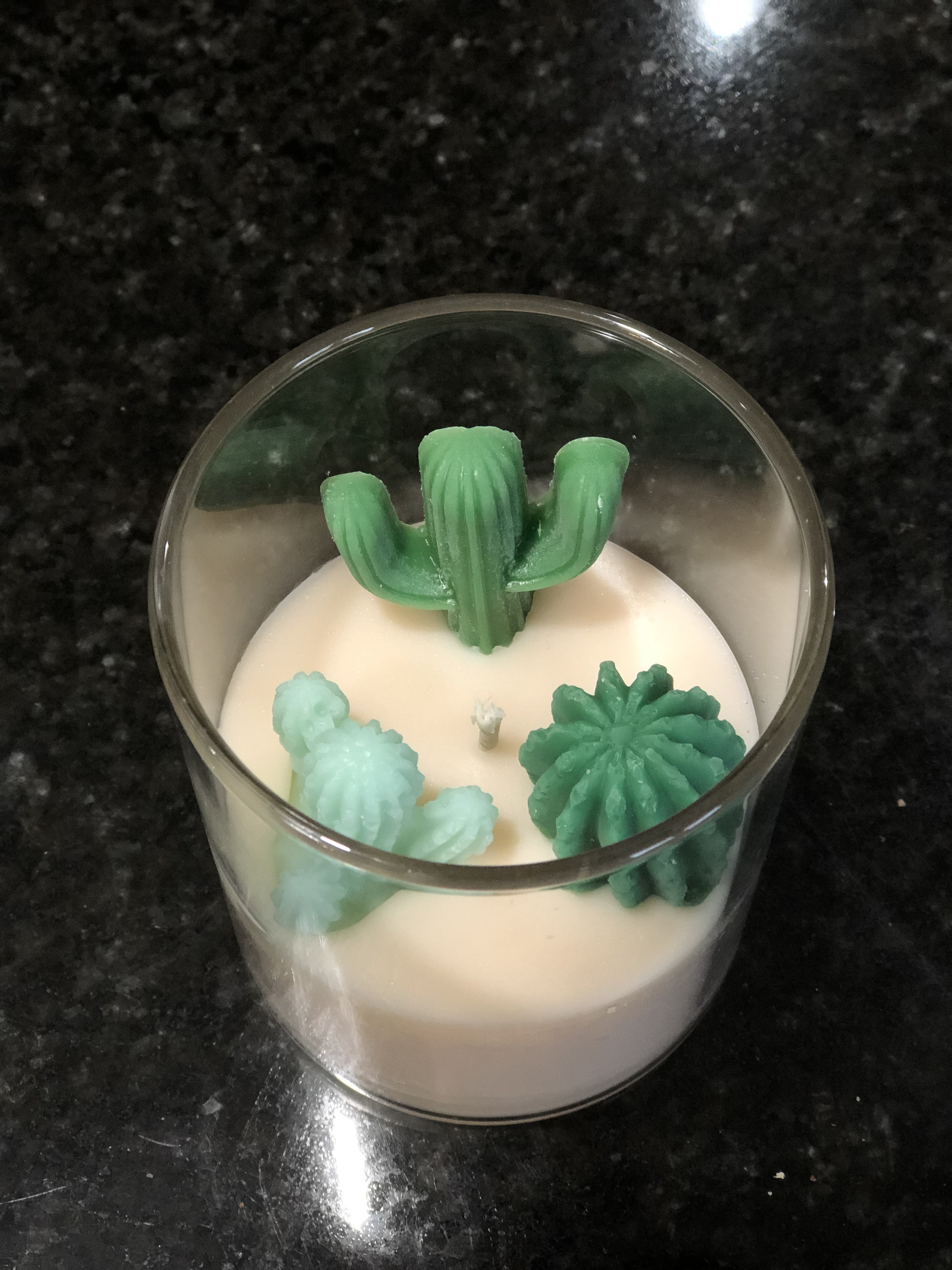 Terrarium Candle Cactus Candles, Flower Candles Goods