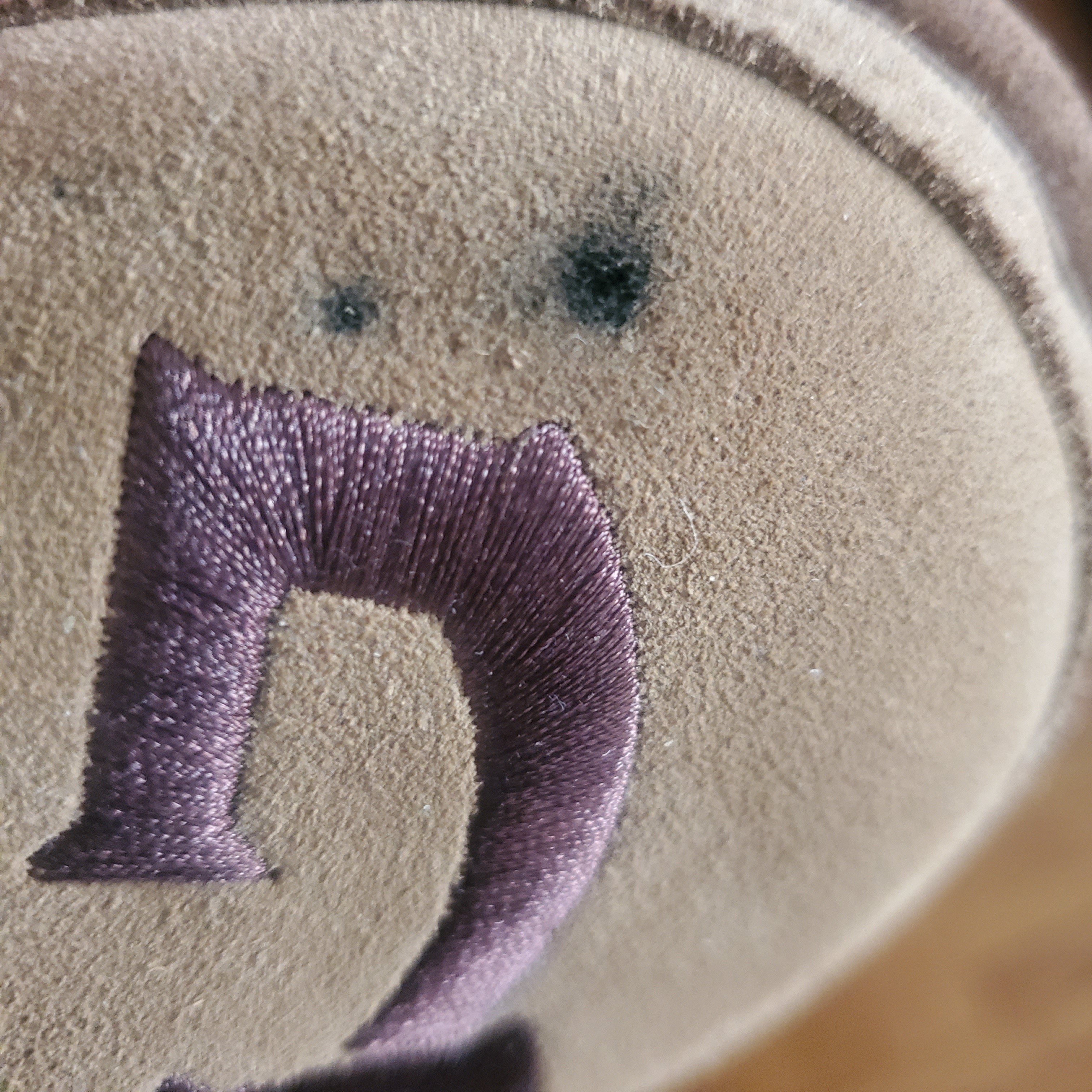 Stain. Afraid to clean as it might spread