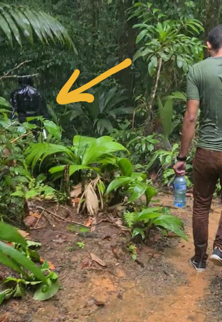 Apex Flex in tropical storm