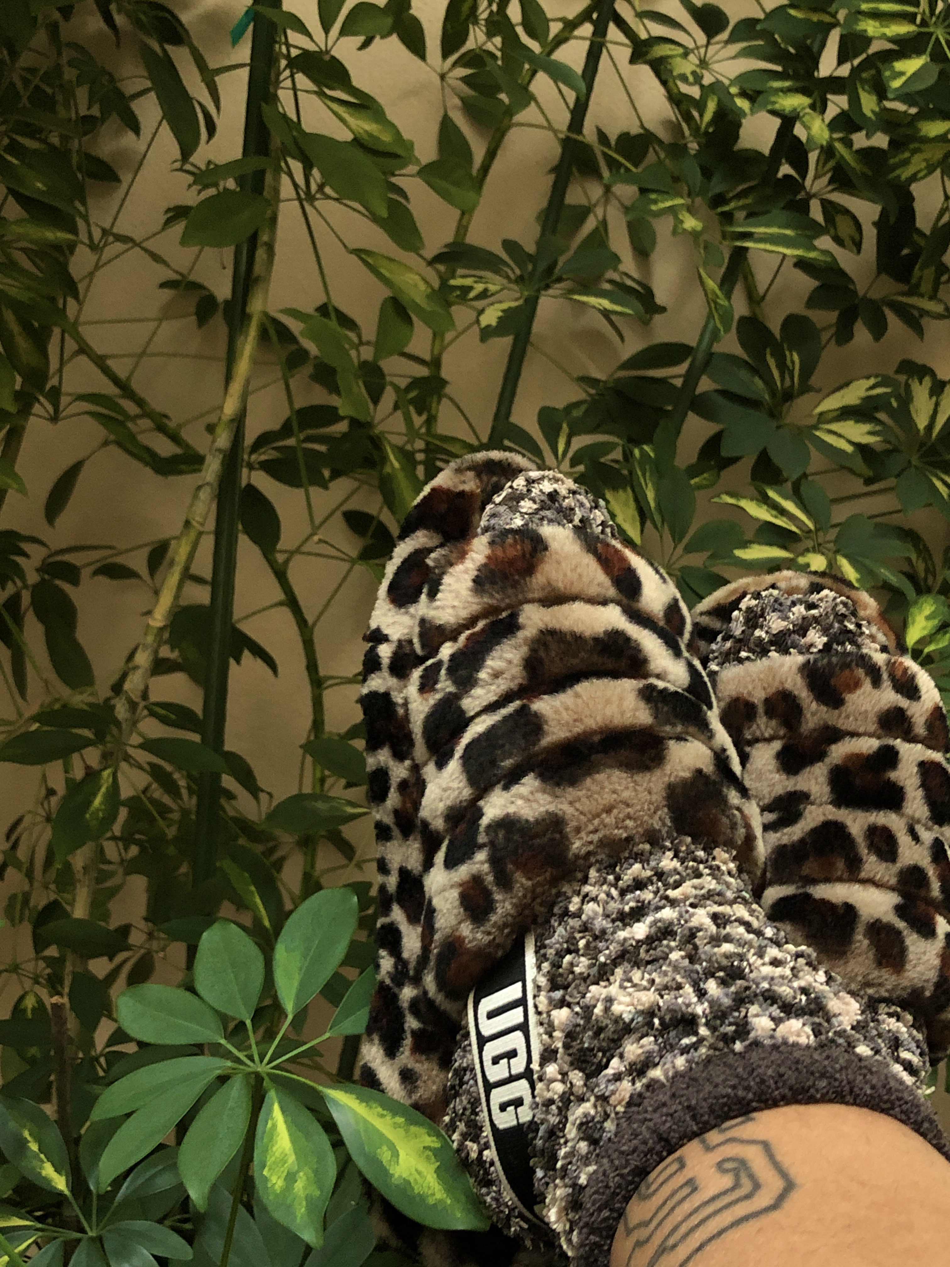 "SEAL" Cozy Chenille sock irl with Fluff Yeah slides in "AMPHORA"