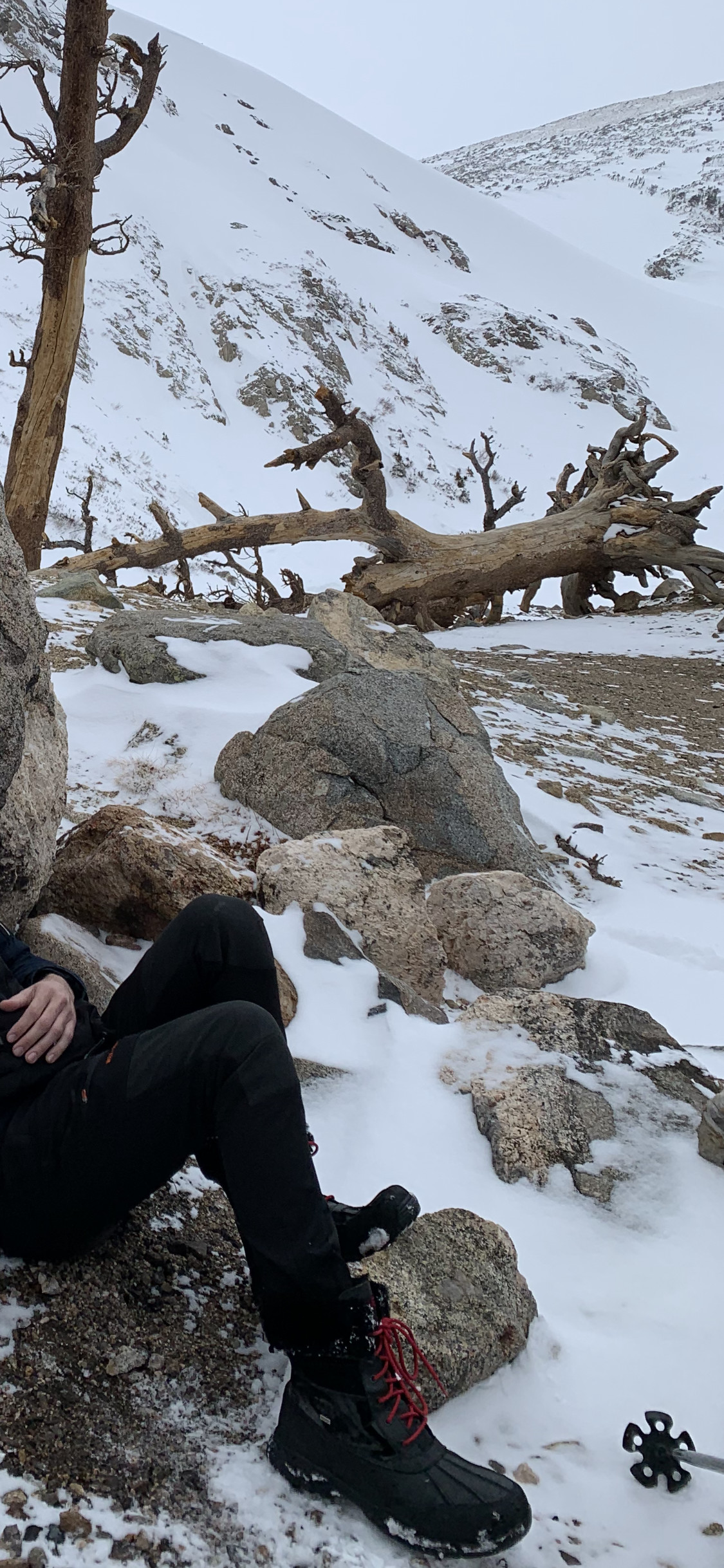 Recently went snowshoeing in them