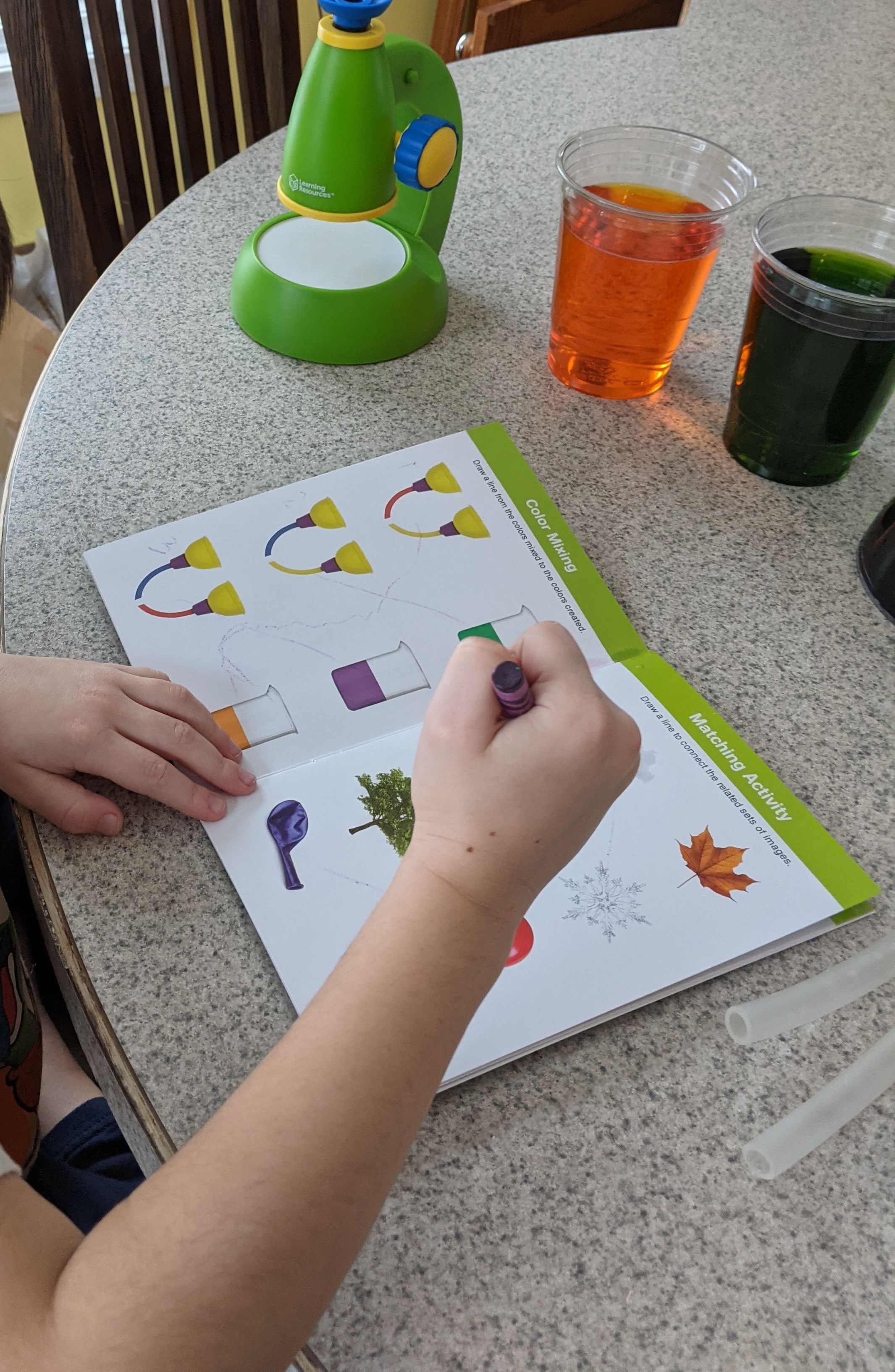 The journal was fun, but the microscope was not worth the cost.